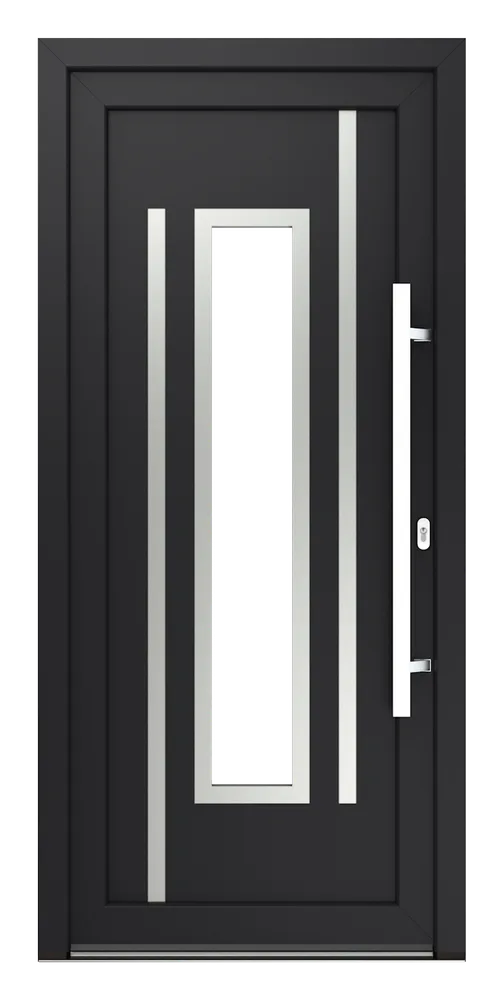 Haustür Modell Modell 2 - Montana Inox 2 (R)